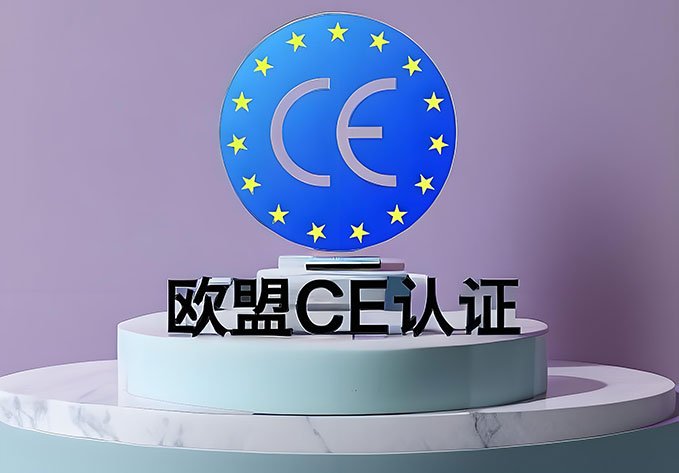 2010~2011