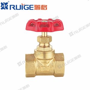 Globe valve